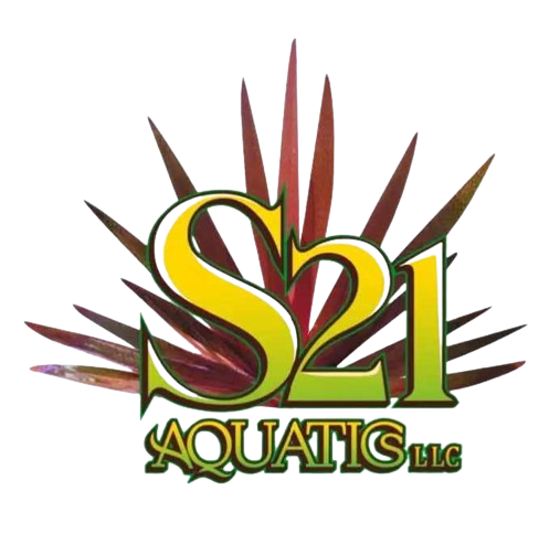 S21 Aquatics LLC